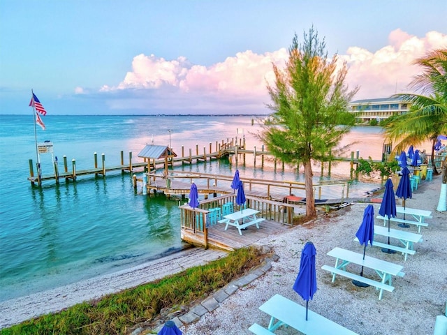 dock area with a water view