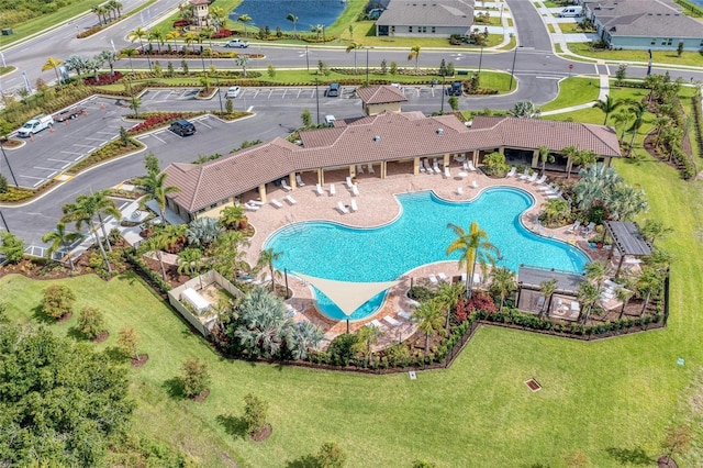 bird's eye view