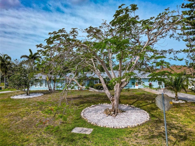 1722 Hazelwood St, Sarasota, FL 34231 - view of green lawn