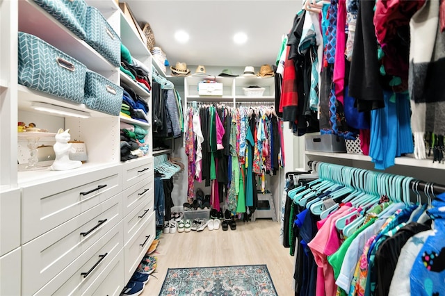 1722 Hazelwood St, Sarasota, FL 34231 - spacious closet with light wood-style flooring