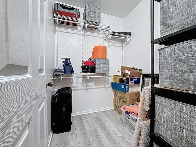 spacious closet featuring wood finished floors