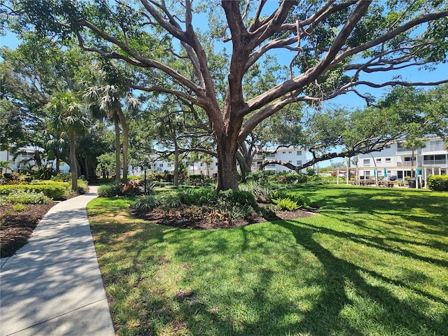 2321 Canal Dr Unit F25, Bradenton, FL 34207 - view of grassy yard