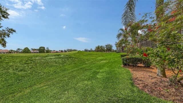 6919 Dominion Ln, Lakewood Ranch, FL 34202 - view of grassy yard