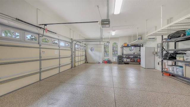 6919 Dominion Ln, Lakewood Ranch, FL 34202 - garage with freestanding refrigerator and a garage door opener