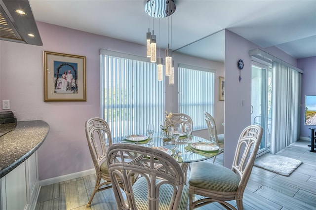 dining room featuring baseboards and wood tiled floor