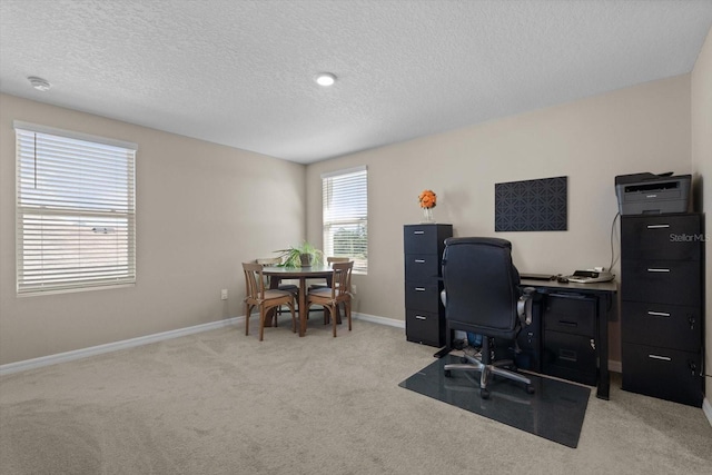 6314 Distant Haze Pl, Palmetto, FL 34221 - home office with a textured ceiling, light colored carpet, and baseboards