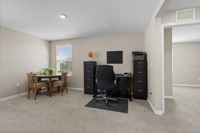 6314 Distant Haze Pl, Palmetto, FL 34221 - office area with light carpet, a textured ceiling, and baseboards