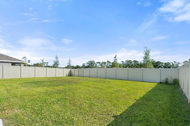 6314 Distant Haze Pl, Palmetto, FL 34221 - view of yard