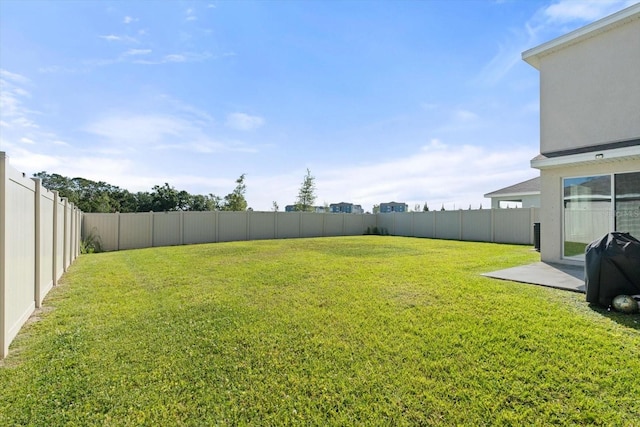 6314 Distant Haze Pl, Palmetto, FL 34221 - view of yard