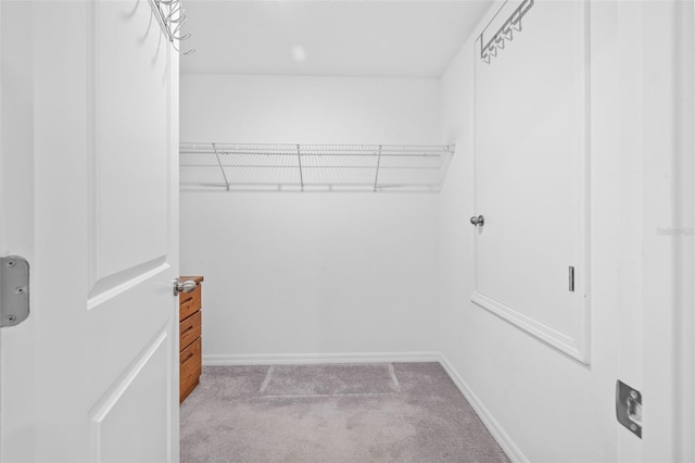 walk in closet with carpet floors