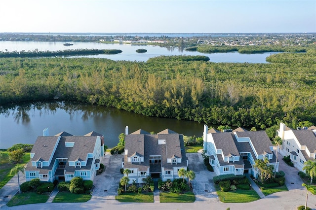 drone / aerial view of a large body of water