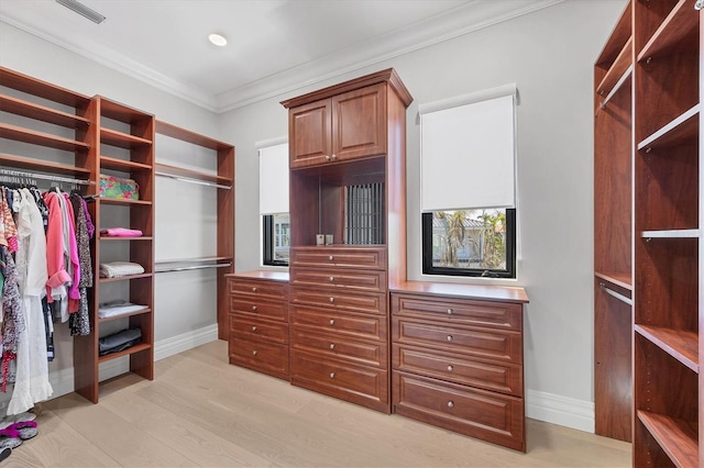 spacious closet featuring light wood-style flooring