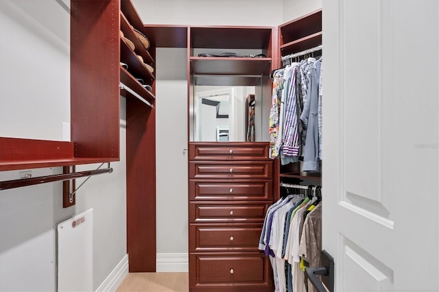 spacious closet featuring light wood-style floors