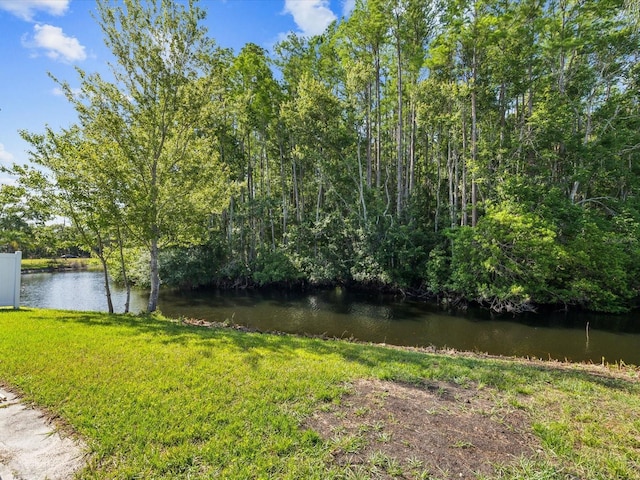 8304 Fishhawk Ave, New Port Richey, FL 34653 - view of water feature