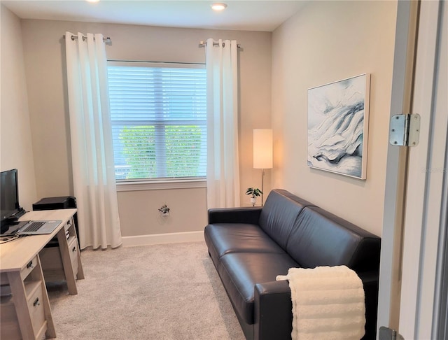 26017 Seastone Dr, Englewood, FL 34223 - office space with light carpet, baseboards, and recessed lighting