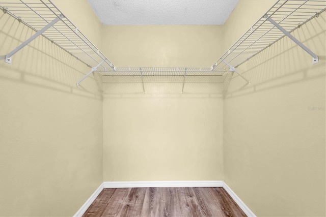 spacious closet featuring wood finished floors