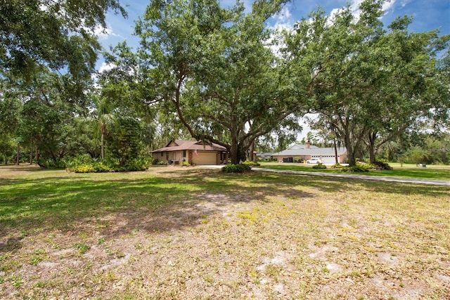 view of yard featuring an attached garage