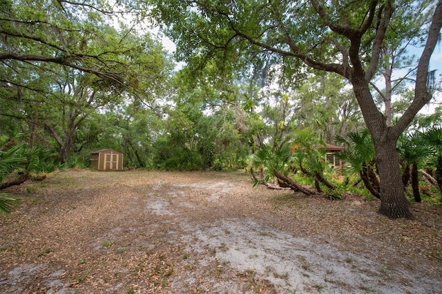 view of yard with an outdoor structure and a shed