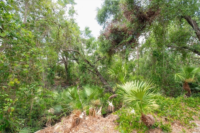 view of nature