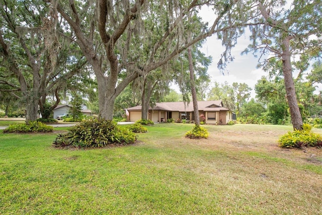view of yard featuring a garage