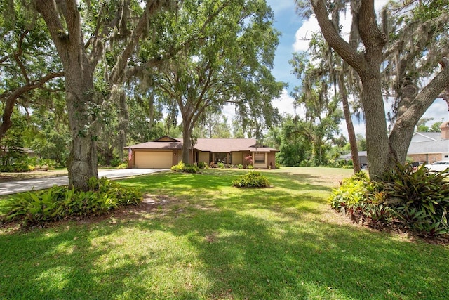 view of front facade featuring a garage, driveway, and a front lawn