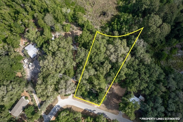 SE 65th Street Rd, Ocklawaha, FL 32179 - photo 1