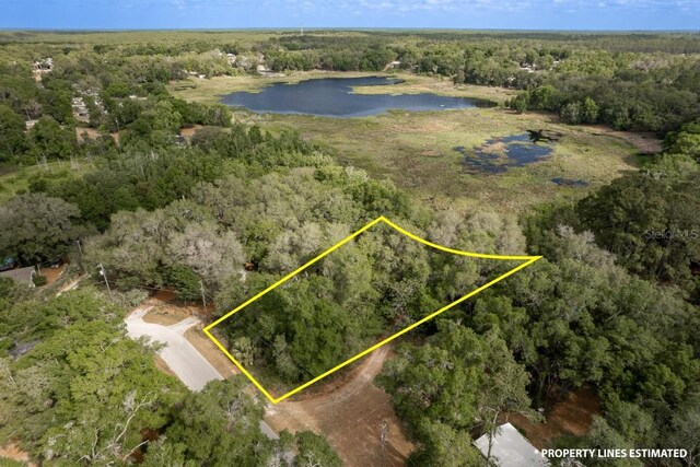 SE 65th Street Rd, Ocklawaha, FL 32179 - photo 2