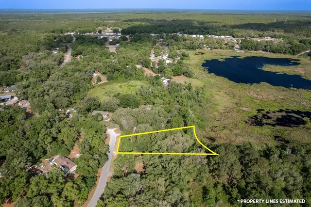 SE 65th Street Rd, Ocklawaha, FL 32179 - photo 3