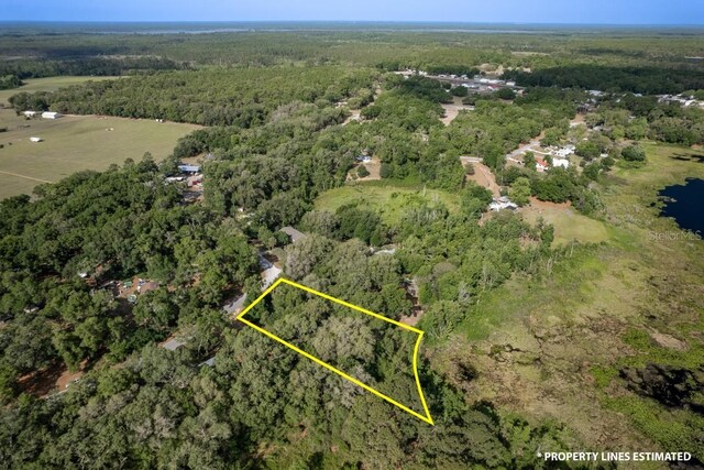 SE 65th Street Rd, Ocklawaha, FL 32179 - photo 4