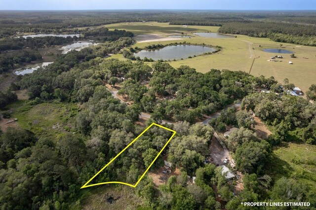 SE 65th Street Rd, Ocklawaha, FL 32179 - photo 5