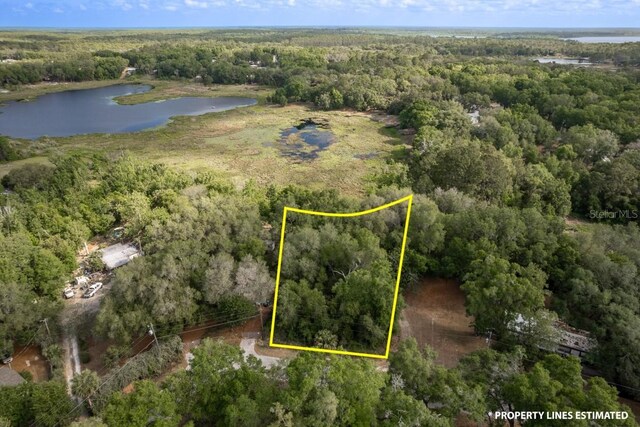 SE 65th Street Rd, Ocklawaha, FL 32179 - photo 6