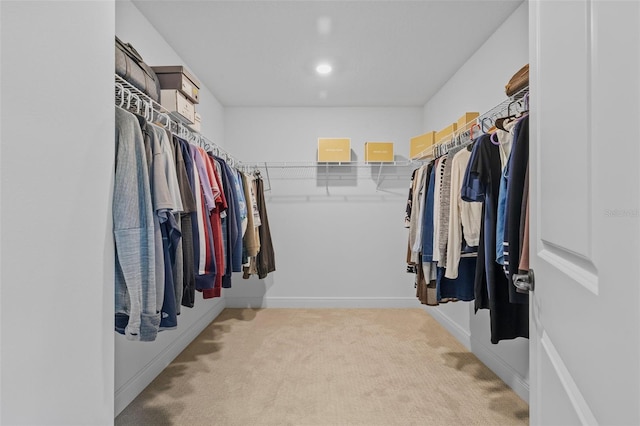 11430 Gallatin Trl, Parrish, FL 34219 - spacious closet with light colored carpet