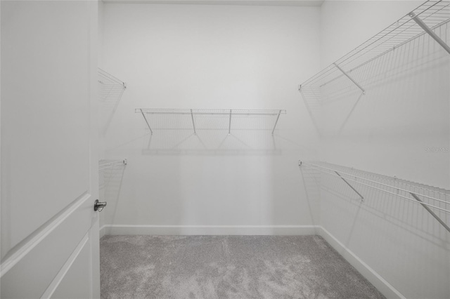 6244 Talon Preserve Dr, Nokomis, FL 34275 - spacious closet featuring carpet flooring