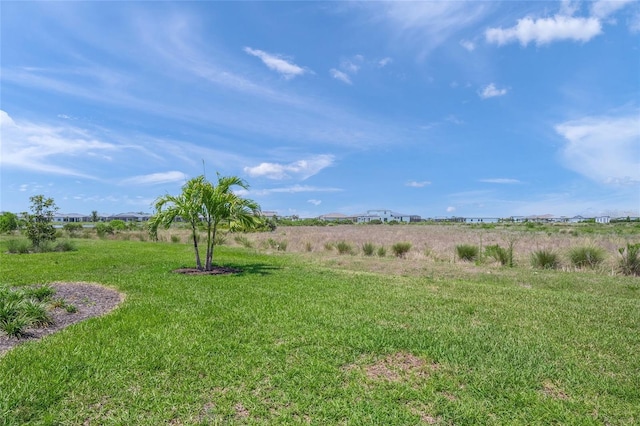 6244 Talon Preserve Dr, Nokomis, FL 34275 - view of yard