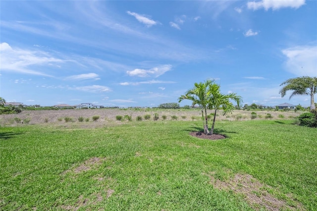 6244 Talon Preserve Dr, Nokomis, FL 34275 - view of yard