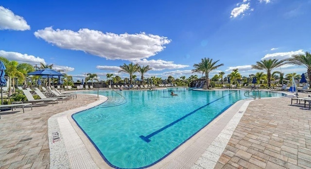 6244 Talon Preserve Dr, Nokomis, FL 34275 - pool with a patio and a gazebo