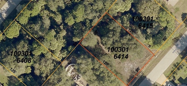 Pesola Ter, North Port, FL 34286 - photo 3