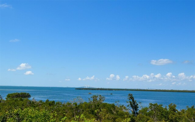 2402 16th St W, Palmetto, FL 34221 - water view