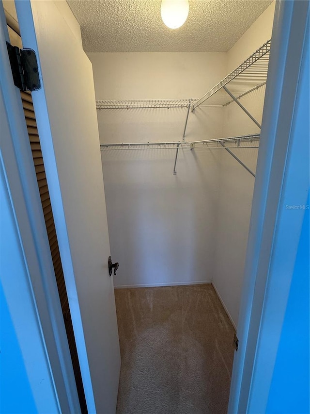 2808 60th Ave W Unit 1924, Bradenton, FL 34207 - walk in closet with carpet