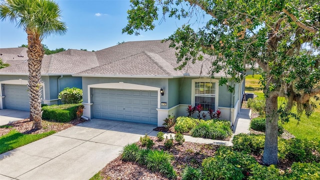 view of front of house with a shingled roof, stucco siding, an attached garage, and driveway