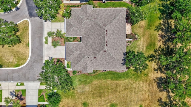 bird's eye view