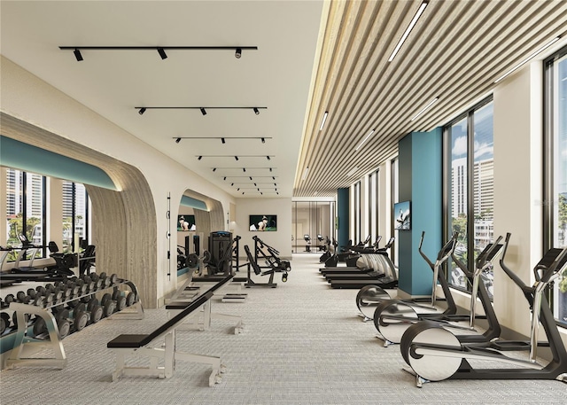 workout area featuring carpet flooring and rail lighting