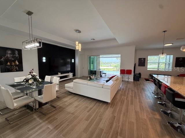 living room featuring a tray ceiling and wood finished floors