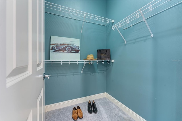 spacious closet featuring carpet flooring