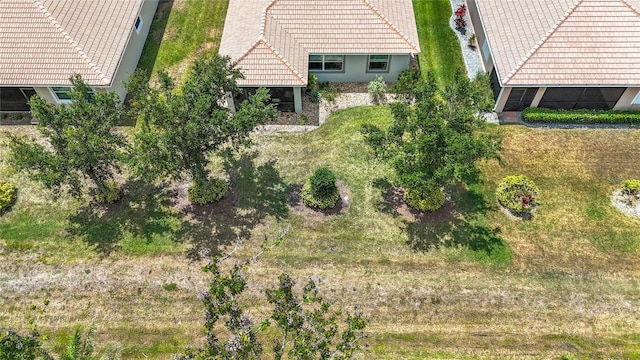 drone / aerial view