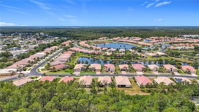 aerial perspective of suburban area with a large body of water