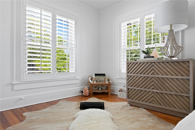 1140 Oak St NE, Saint Petersburg, FL 33701 - photo 29