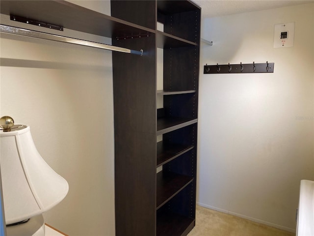spacious closet with carpet