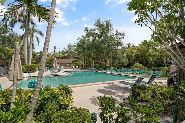pool with fence and a patio