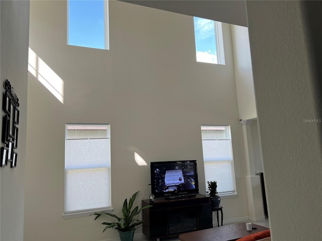 5521 Summit Gln, Bradenton, FL 34203 - living area featuring a towering ceiling, healthy amount of natural light, and baseboards